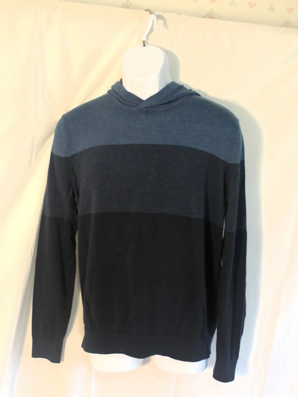 Banana Republic Men' Supima Cotton Hooded Pullover Sweater, Blue Stripes, Medium